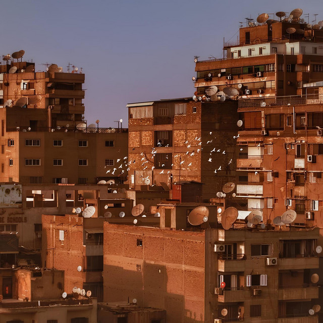 طلعت فوق السطوح