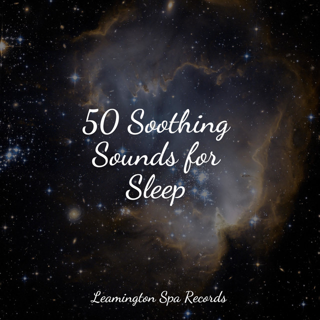 50 Soothing Sounds for Sleep - Album by Music to Relax in Free Time ...
