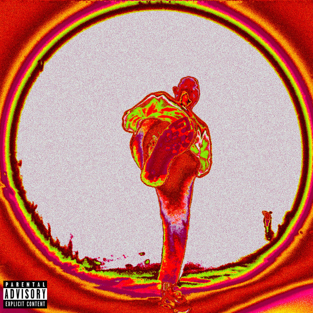 DO ANYTHING U WANT! cover art