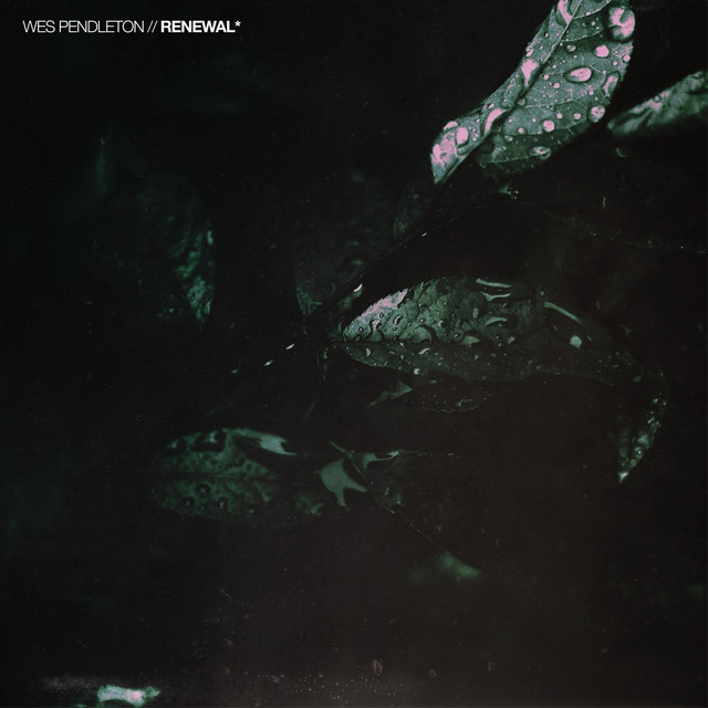 Renewal cover art
