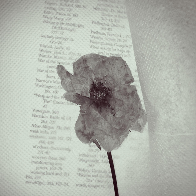 Phool (A) cover art