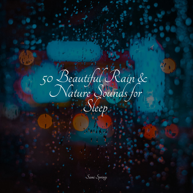 50 Beautiful Rain & Nature Sounds for Sleep - Album by Nature Sounds ...