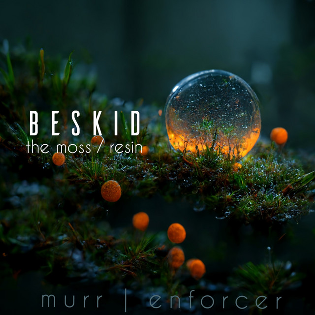 Обкладинка Enforcer — Beskid