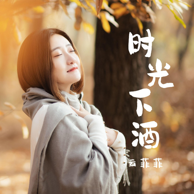 时光下酒 album image