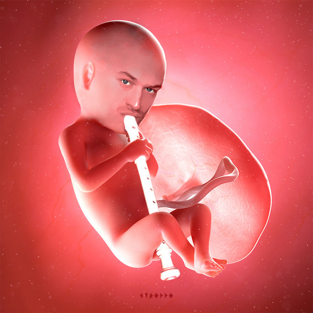 FLÖTUS cover art