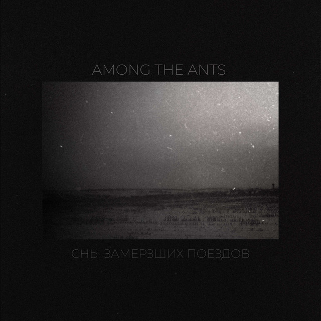 AMONG THE ANTS