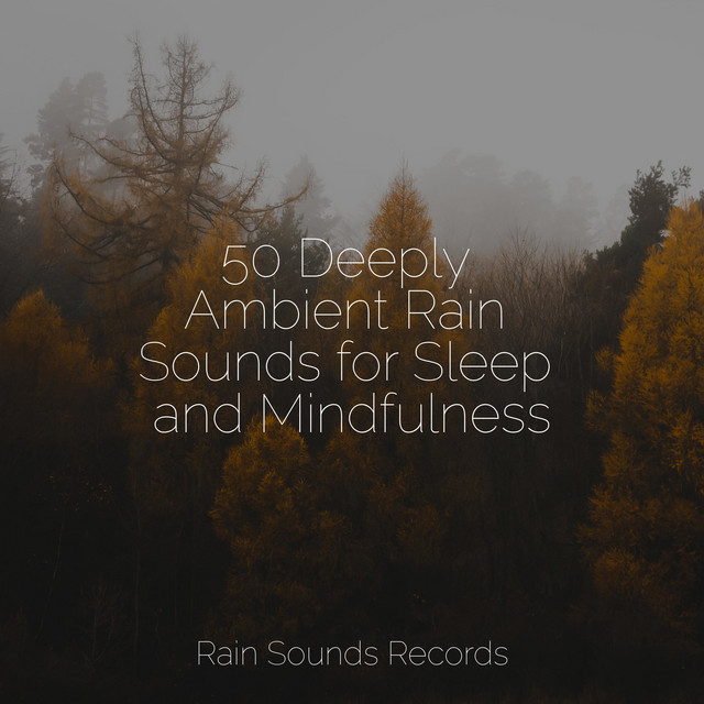50 Deeply Ambient Rain Sounds for Sleep and Mindfulness - Album by ...