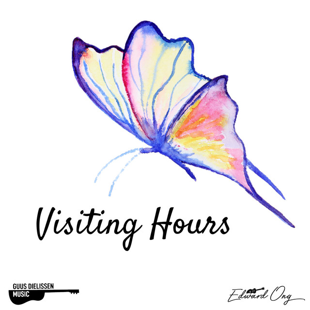 Visiting Hours - Acoustic Instrumental