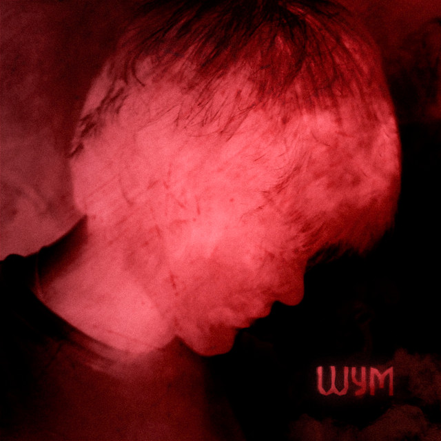 Обкладинка: шум — waylone