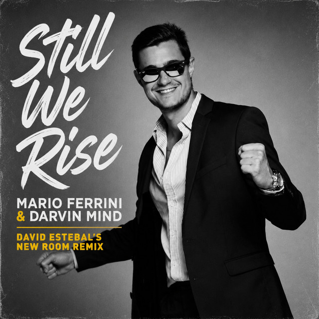 Still We Rise (David Estebal's New Room Remix) cover