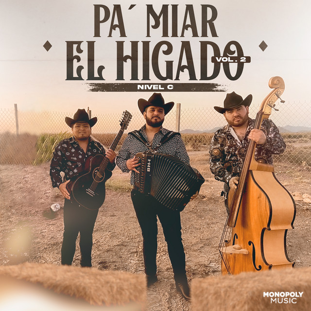 Pa' Miar el Higado, Vol. 2 cover art