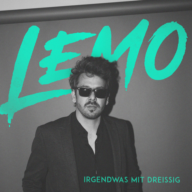 Irgendwas mit dreißig cover art
