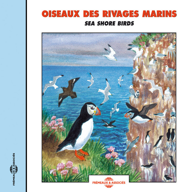 Oiseaux Des Rivages Marins