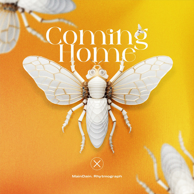 Обкладинка: Coming Home — MainDain