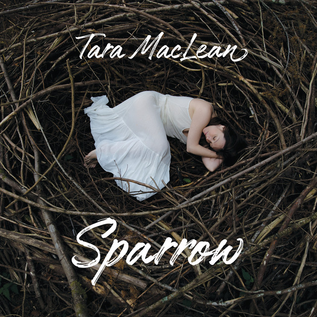 Sparrow cover art