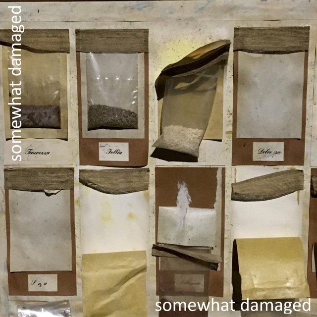 Somewhat Damaged
