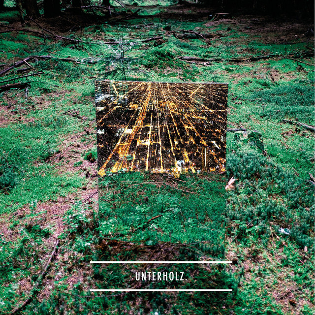 Unterholz cover art
