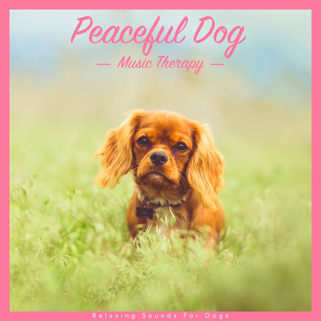 Peaceful Dog Music Therapy: Relaxing Sounds for Dogs cover art