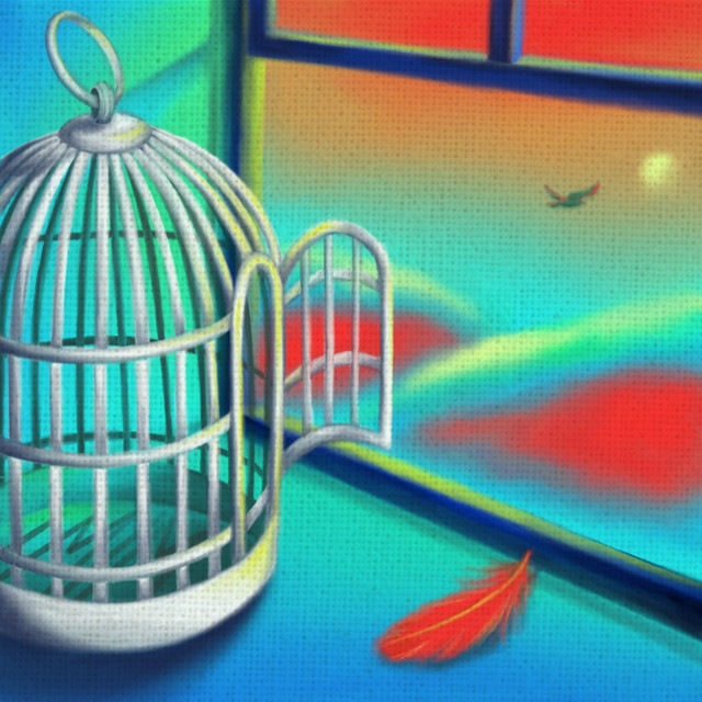 Fly cover art