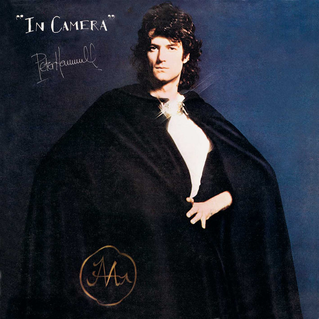 In Camera cover art