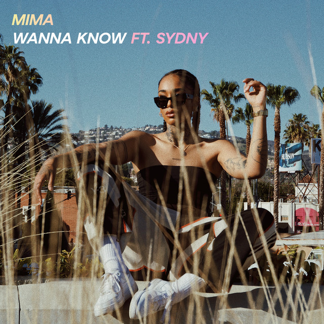 Обкладинка: Wanna Know — Mima