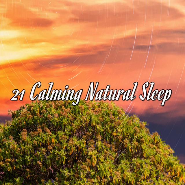 21 Calming Natural Sleep - Album by Forest Sounds | Spotify