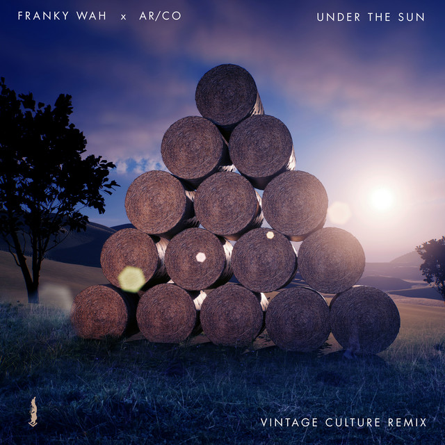 Under The Sun - Vintage Culture Extended Remix - song and lyrics