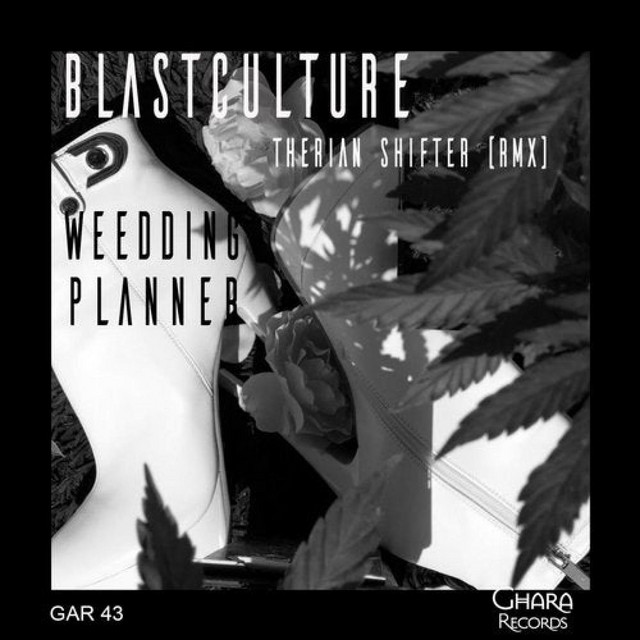Weedding Planner cover art