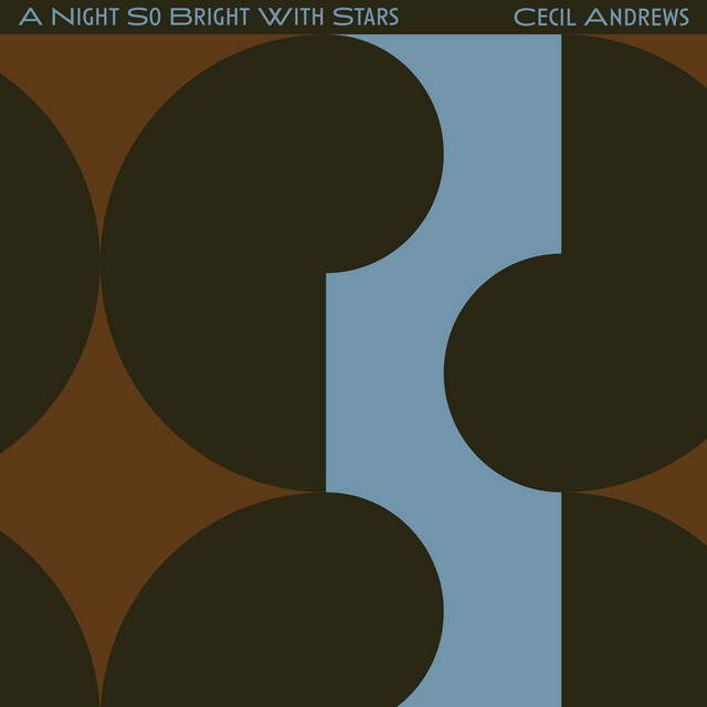 A Night so Bright with Stars album image