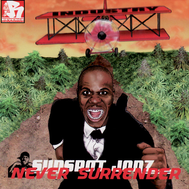 Never Surrender (Part Three) cover art