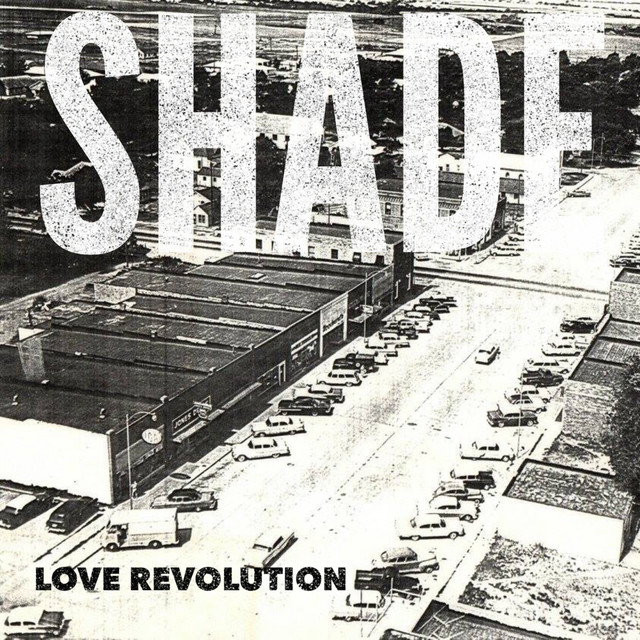 Love Revolution cover art