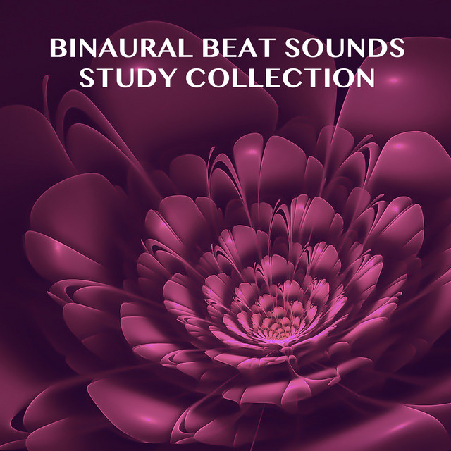 13 Binaural Beat Sounds - Study Collection cover art