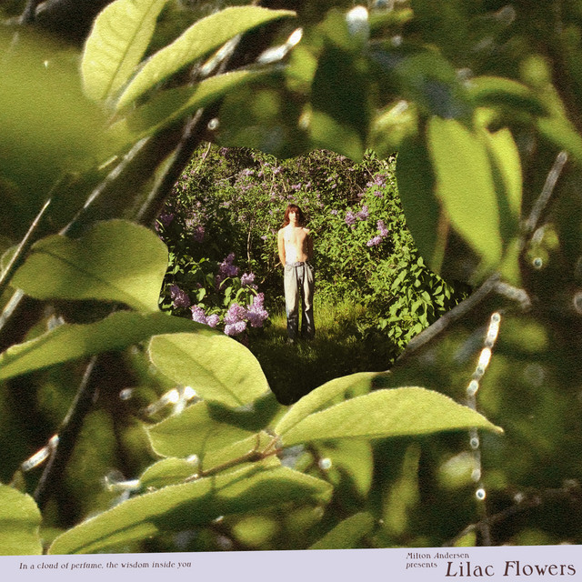 Lilac Flowers cover art