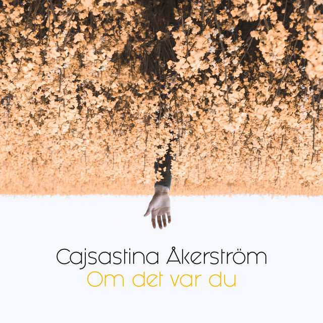 Om Det Var Du