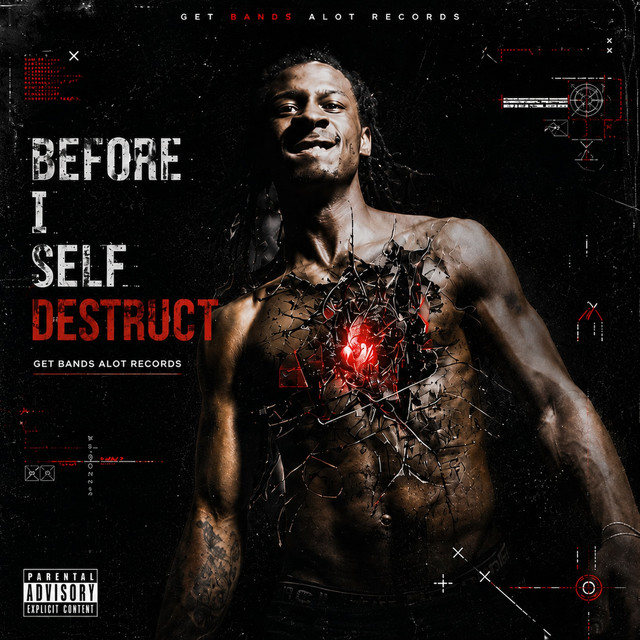 Before I Self Destruct album image