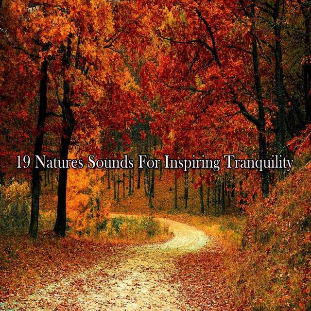 19 Natures Sounds For Inspiring Tranquility - Album by Pet Care Music ...
