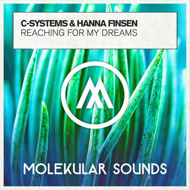 Reaching For My Dreams cover art