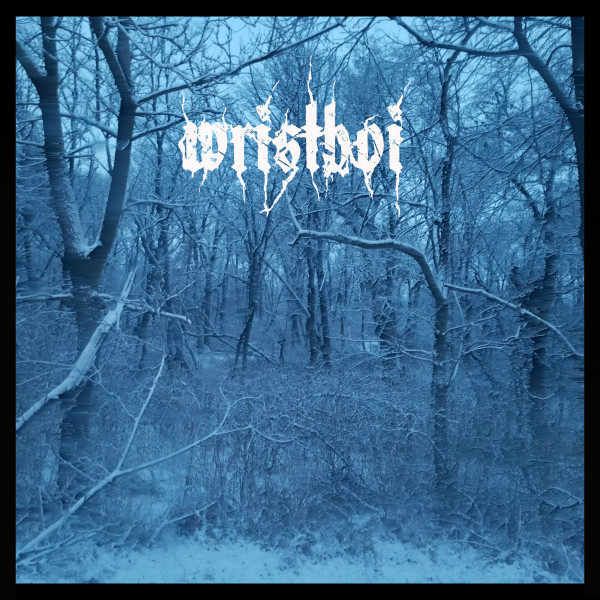 amehc cover art