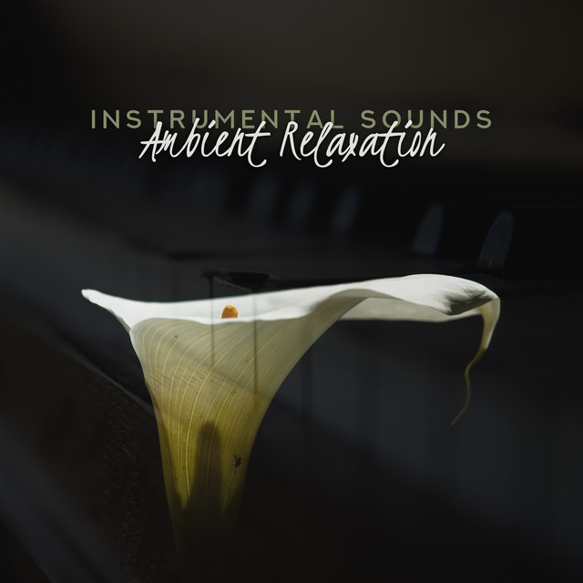 Instrumental Sounds: Ambient Relaxation cover art