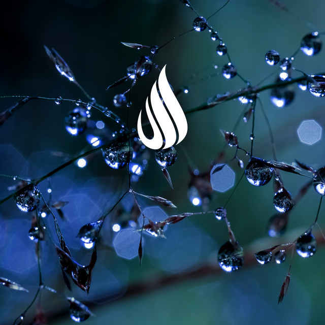 Rainmaker by Epiphonema