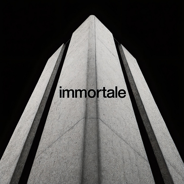 Обкладинка: Immortale — 77PID’YIZD