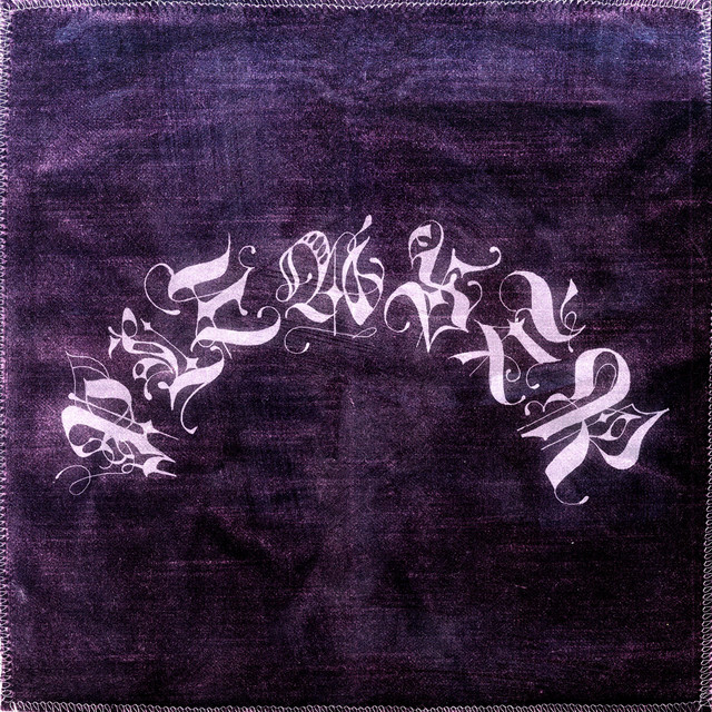 Pleaser cover art