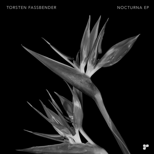 Nocturna - Tommaso De Donatis