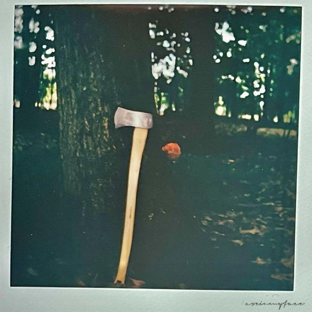 axeinmyface cover art