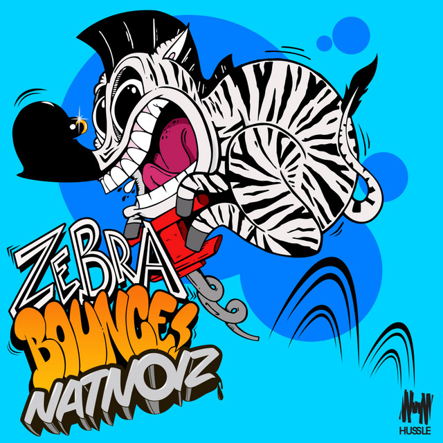 Zebra Bounce - Zoolanda Remix cover art