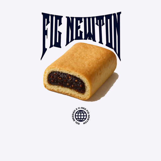 FIG NEWTON album image