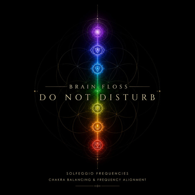 Do Not Disturb cover art