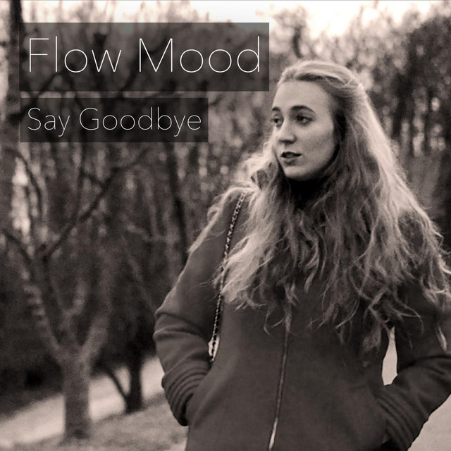 Say Goodbye - Single by Flow Mood | Spotify