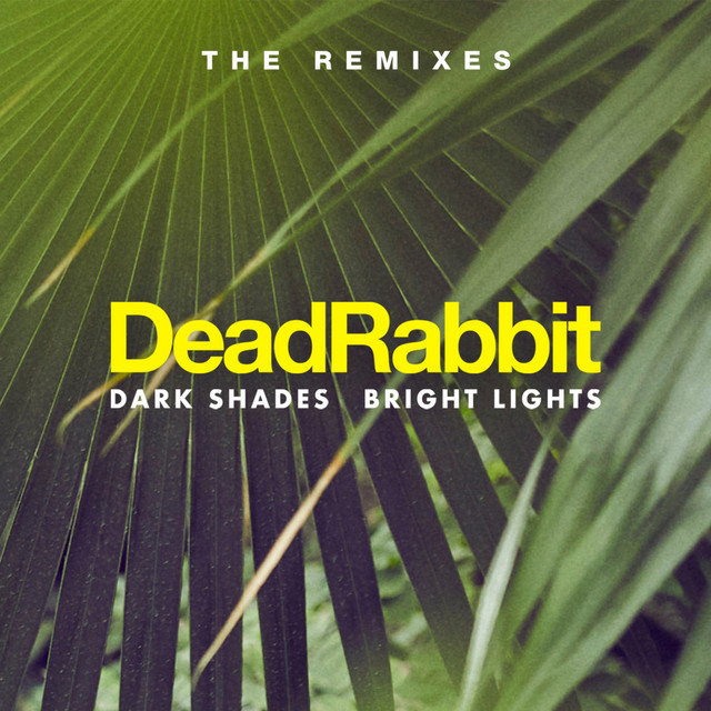 Dark Shades / Bright Lights (The Remixes) cover art