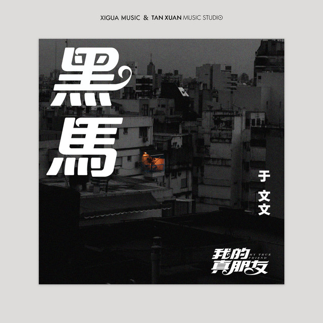 黑馬-電視劇《我的真朋友》插曲 cover art